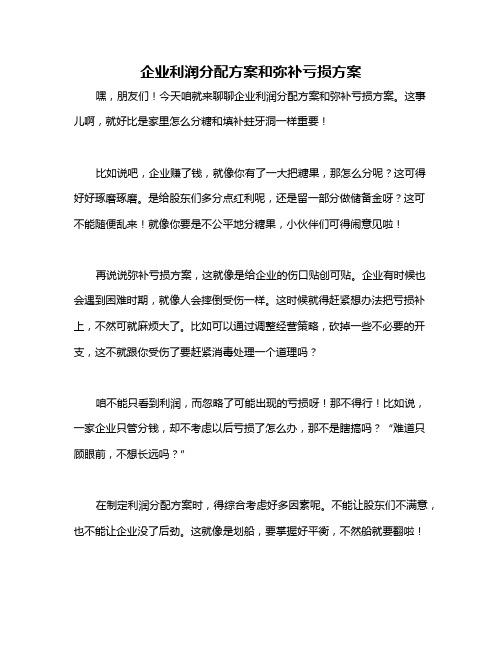 企业利润分配方案和弥补亏损方案