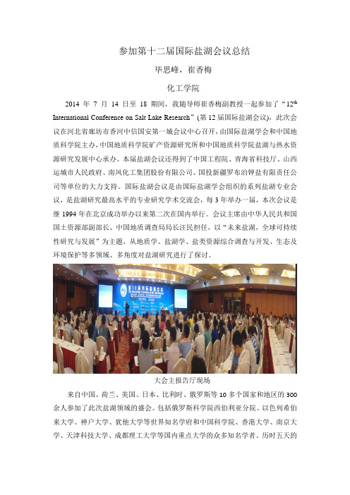盐湖会议总结