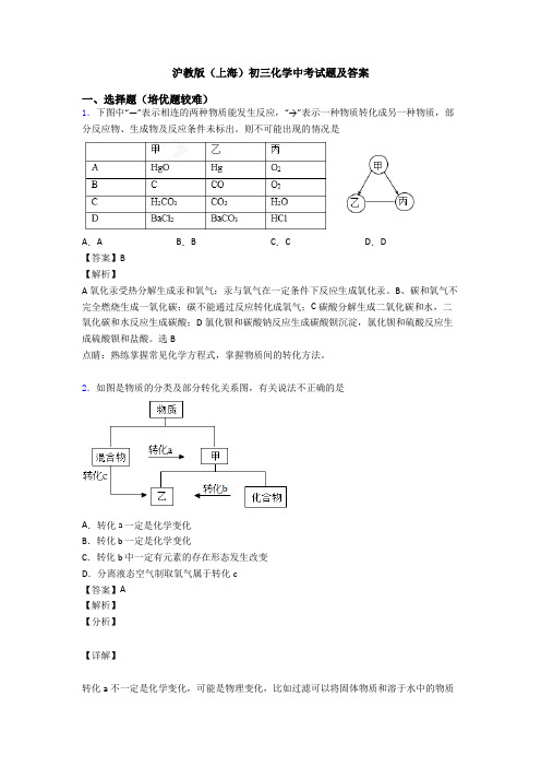 沪教版(上海)初三化学中考试题及答案