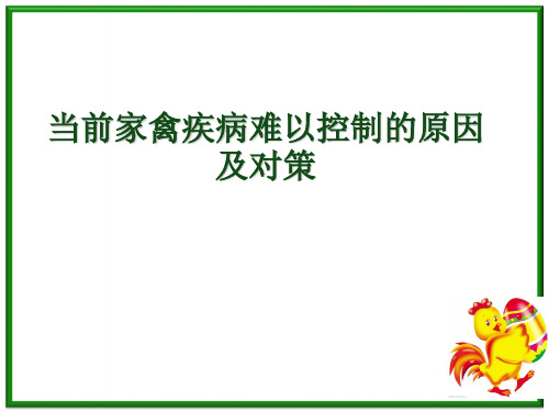 当前家禽疾病难以控制的原因及对策