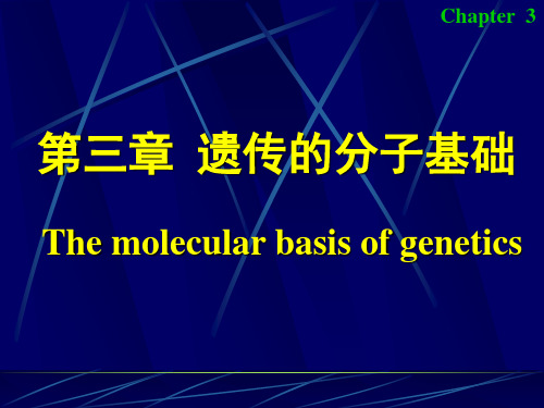 配套课件 医学遗传学 第3章遗传学