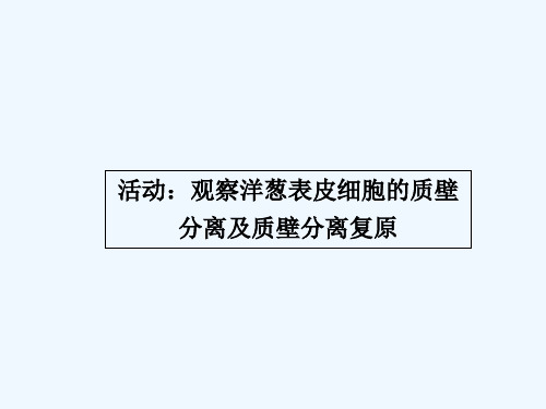 观察洋葱表皮细胞的质壁分离及质壁分离复原 PPT课件