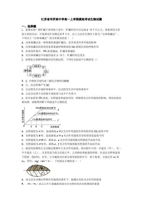 江苏省华罗庚中学高一上学期摸底考试生物试题