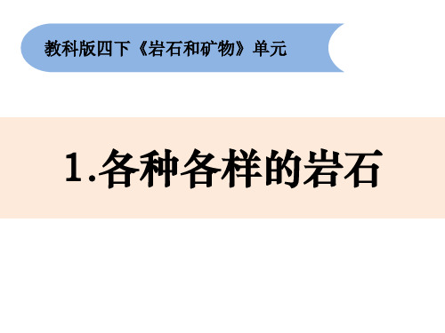 四级下册《各种各样的岩石》教科版