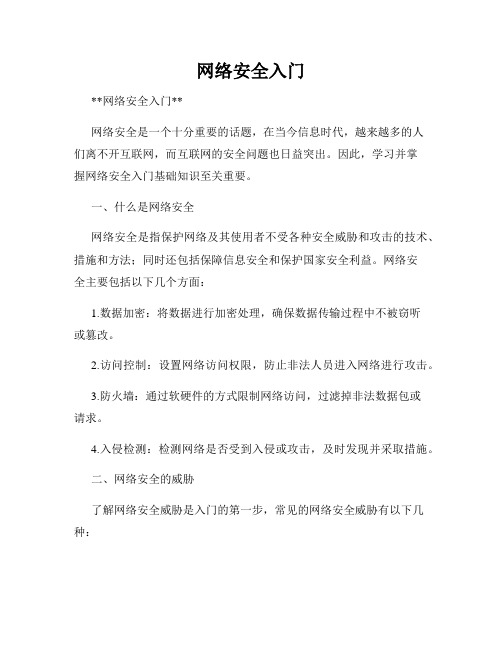 网络安全入门