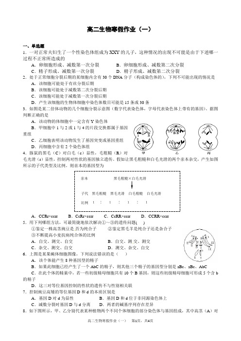 高二生物寒假作业1