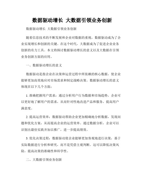  数据驱动增长  大数据引领业务创新