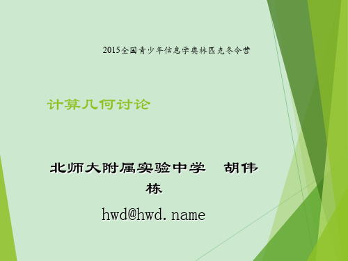 NOI冬令营胡伟栋《计算几何讨论》 ppt课件