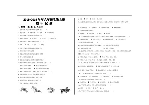 2018--2019学年第一学期人教版八年级生物上册期中考试试题及参考答案