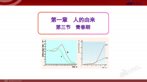 七年级生物第三节  青春期