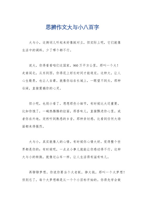 思辨作文大与小八百字