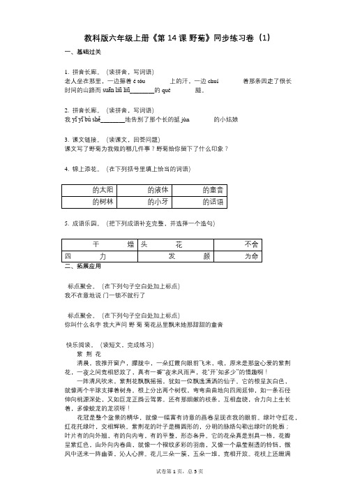 教科版六年级上册《第14课_野菊》小学语文-有答案-同步练习卷(1)
