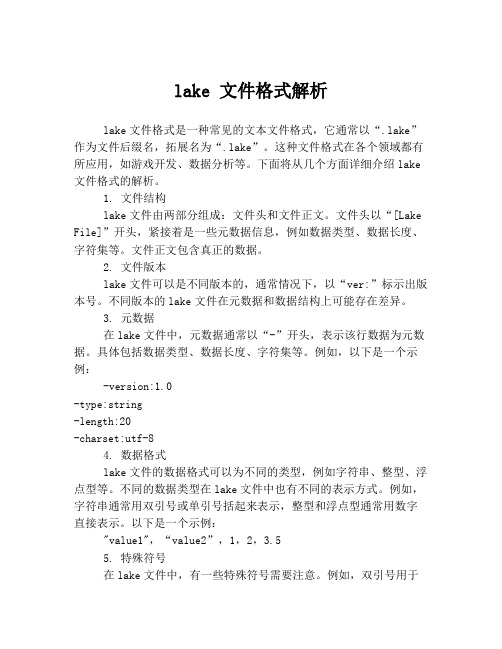 lake 文件格式解析