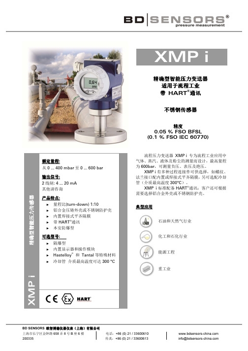 精确型智能压力变送器XMP i_德国BD SENSORS