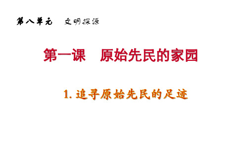 人教版七年级下册历史《文明探源》课件