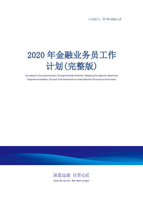 2020年金融业务员工作计划(完整版)