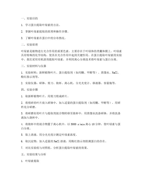 蛋白提取叶绿素实验报告