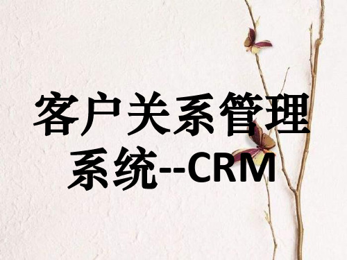 客户关系管理系统--CRMPPT课件