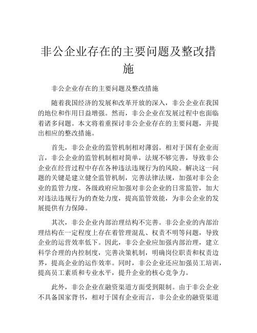 非公企业存在的主要问题及整改措施