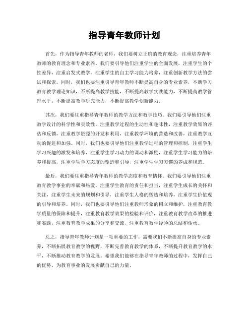 指导青年教师计划