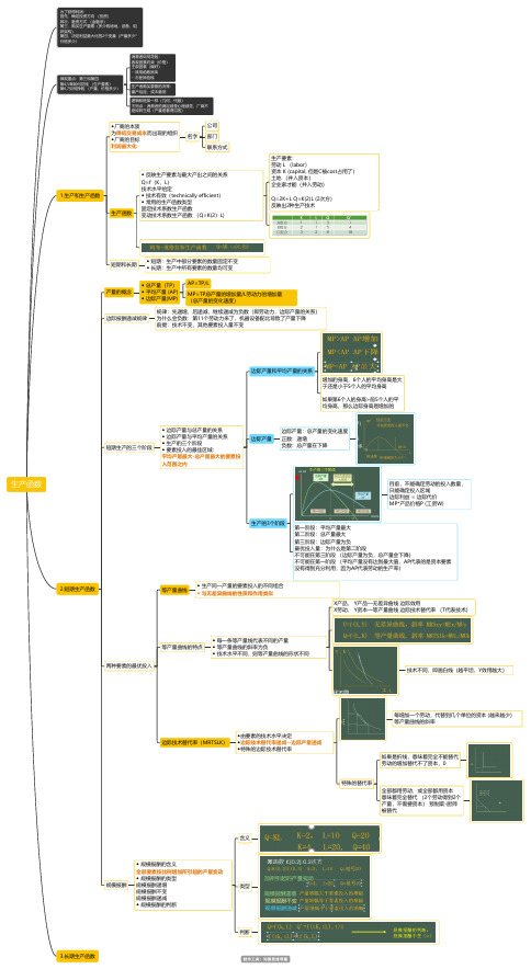 微观经济学生产函数思维导图脑图