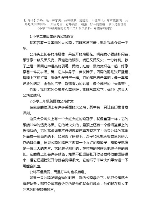 小学二年级美丽的公鸡作文