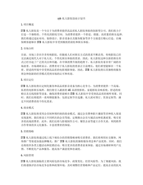 syb私人影院创业计划书