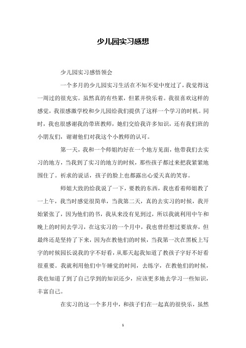 少儿园实习感想