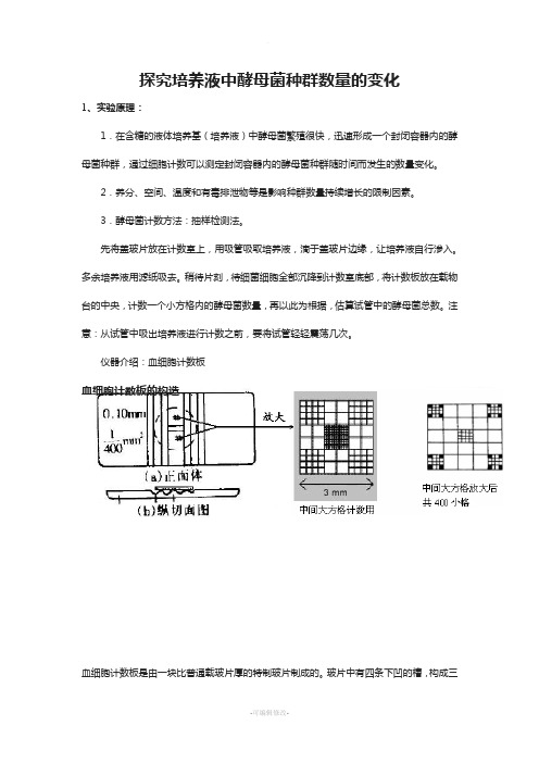 探究培养液中酵母菌种群数量的变化