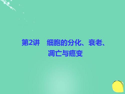 2017高考生物一轮复习 第4单元 细胞的生命历程(含减数分裂与受精作用)第2讲 减数分裂和受精作用课件