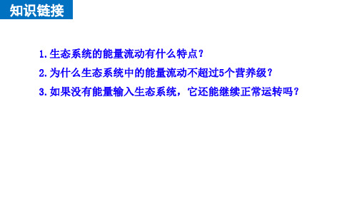 生态系统的能量流动课件高二上学期生物人教版选择性必修2