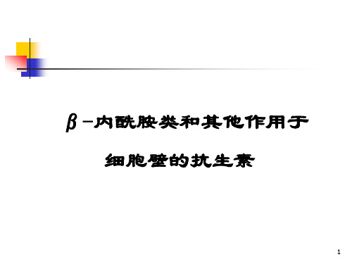 精品医学课件-β内酰胺类抗生素