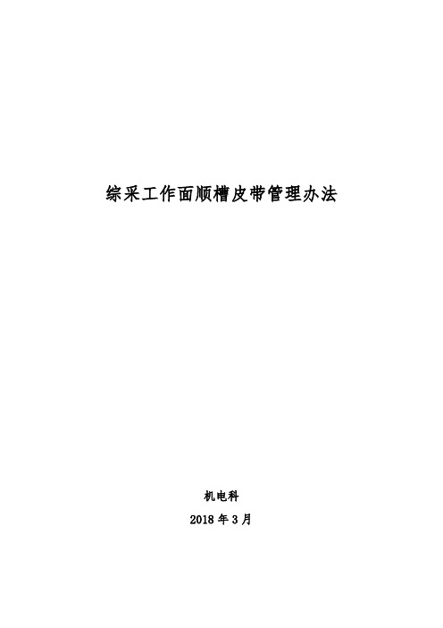 矿井综采工作面顺槽皮带管理办法