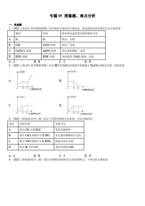 2023年上海中考一模化学试题分类汇编 专题5 图像题、难点分析含详解