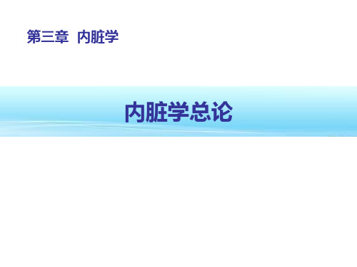 解剖学课件-内脏学总论和上消化道