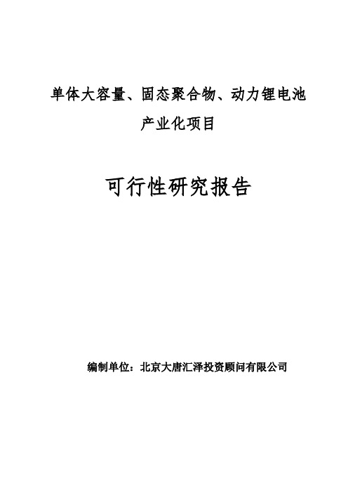 单体大容量、固态聚合物、动力锂电池产业化项目可行性研究报告4