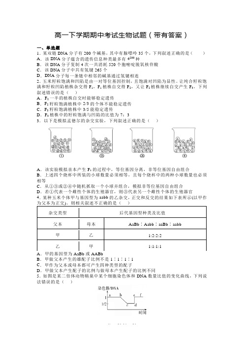 高一下学期期中考试生物试题(带有答案)