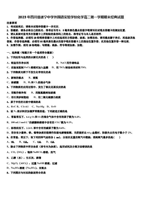 2023年四川省遂宁中学外国语实验学校化学高二第一学期期末经典试题含解析