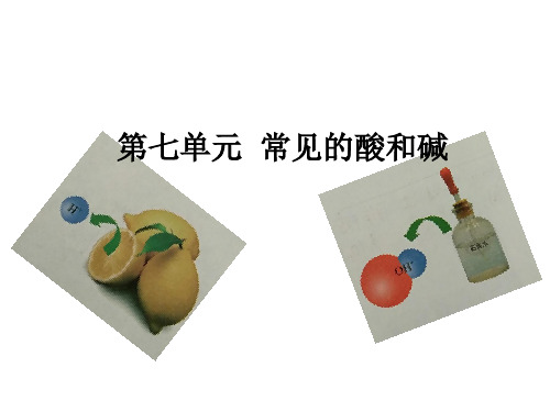 常见的酸和碱