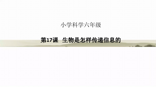 青岛版六年级下册小学科学《生物是怎样的传递信息的》优质课获奖课件