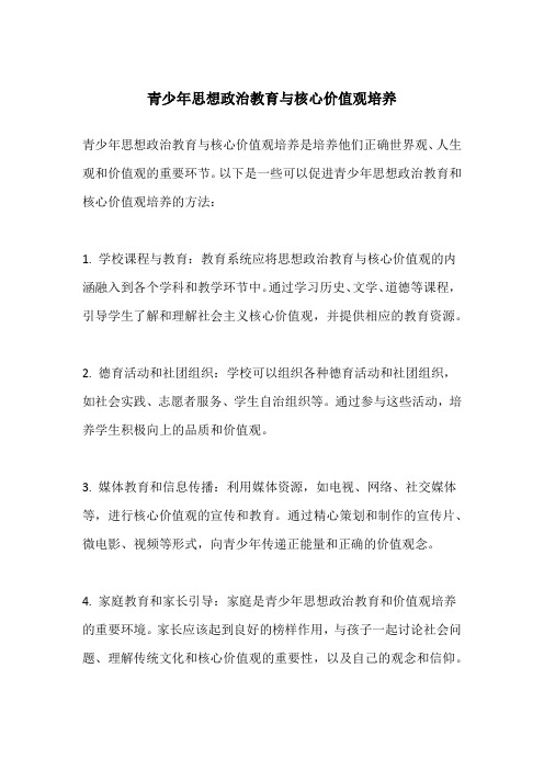 青少年思想政治教育与核心价值观培养