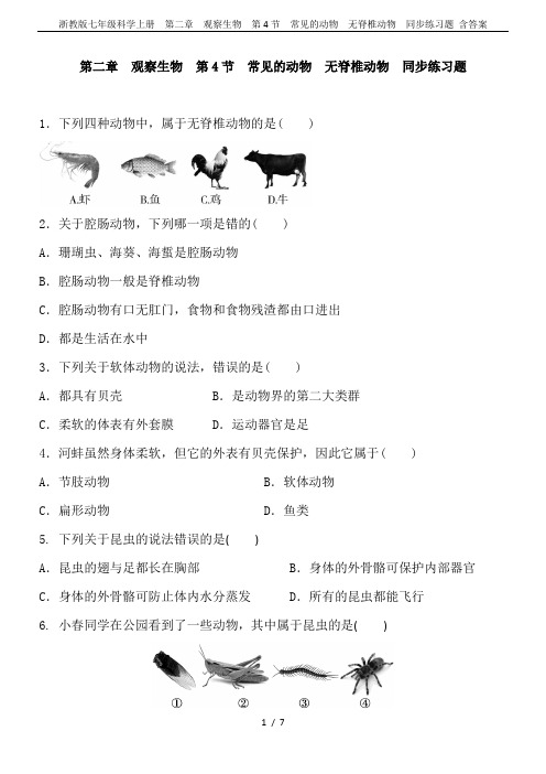 浙教版七年级科学上册  第二章 观察生物  第4节 常见的动物  无脊椎动物  同步练习题 含答案