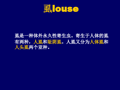 医学寄生虫学课件：虱蚤蜱螨