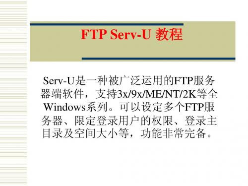 Serv-U是一种被广泛运用的FTP服务器端软件