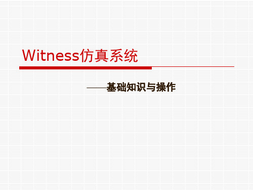 第5讲 Witness仿真系统