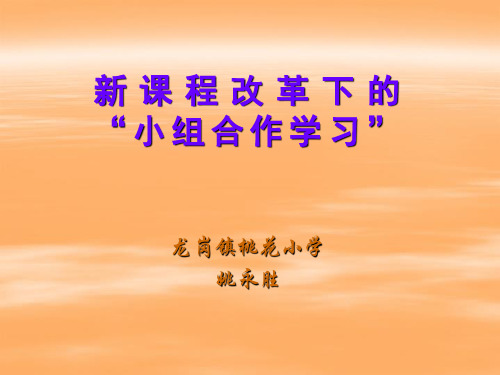 小组合作学习PPT