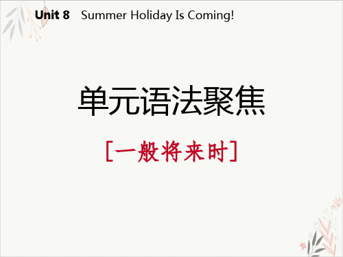 单元语法聚焦Summer Holiday Is Coming! 精品PPT课件