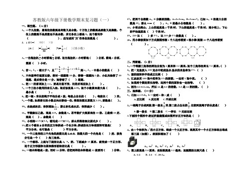 期末复习题(一)(试题)苏教版数学六年级下册