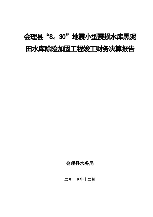 水利工程财务决算报告【范本模板】