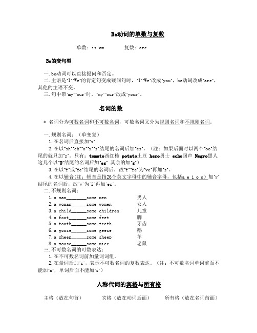Be动词的单数与复数